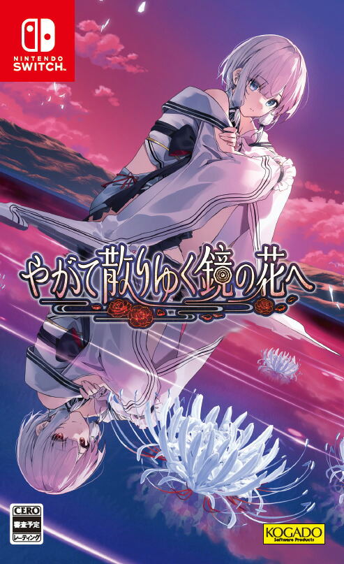 Dear Mirror Flower - Nintendo Switch (Pre-Venta)