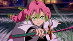 Demon Slayer Kimetsu No Yaiba The Hinokami Chronicles 2 - Nintendo Switch